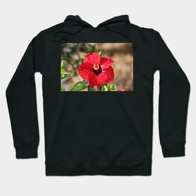 Red Hibiscus After the Rain Hoodie by ButterflyInTheAttic